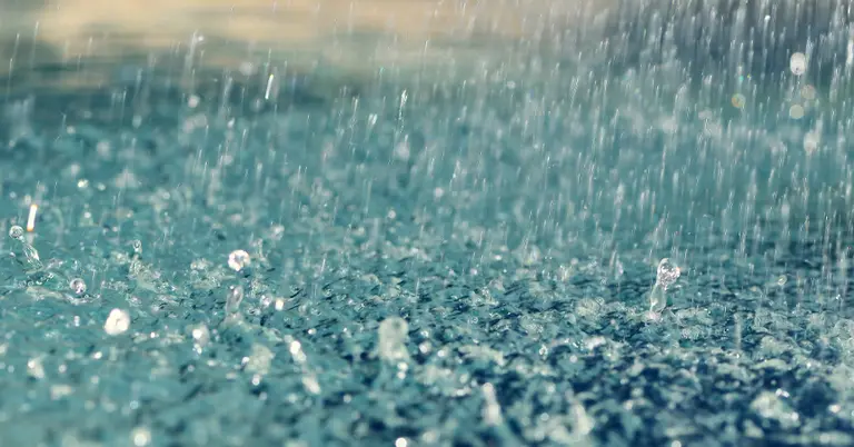 বৃষ্টির ছবি